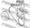 FEBEST 2187-ST Tensioner Pulley, v-ribbed belt